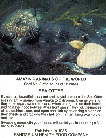otter
